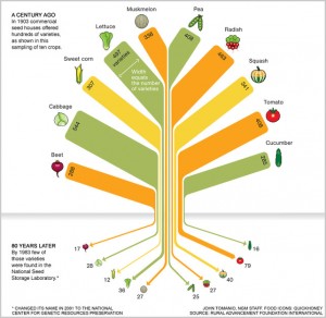 Agriculture Sustainability: It Starts with Seeds : One Community