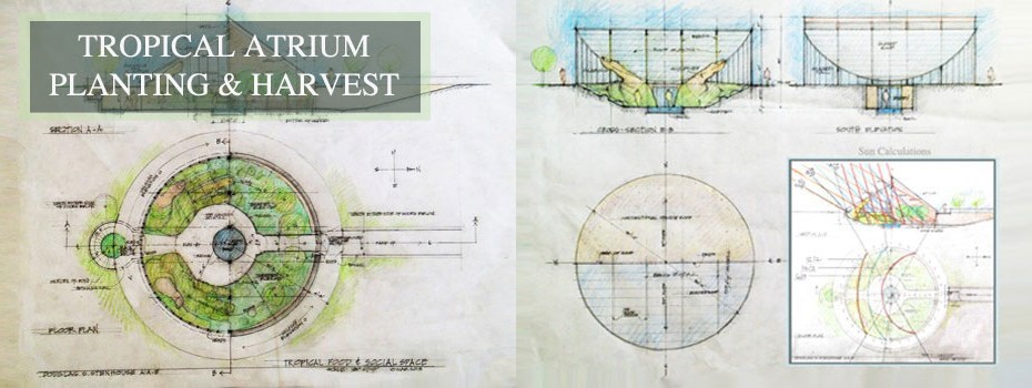 open source tropical food, growing tropical food anywhere, eco-tropical, tropical greenhouse, greenhouse meditation center, earthbag village, eco-artistic construction, greywater processing with plants, tropical atrium, One Community Tropical Atrium, pod 1, earthbag village, architecture of the future, cutting edge innovation, open source building plans, open source architecture, free-shared plans, architects of the future, green living, eco-living, sustainable sustainability, forward thinking, sustainable building, net-zero building, tropical food growing, eco-beautiful